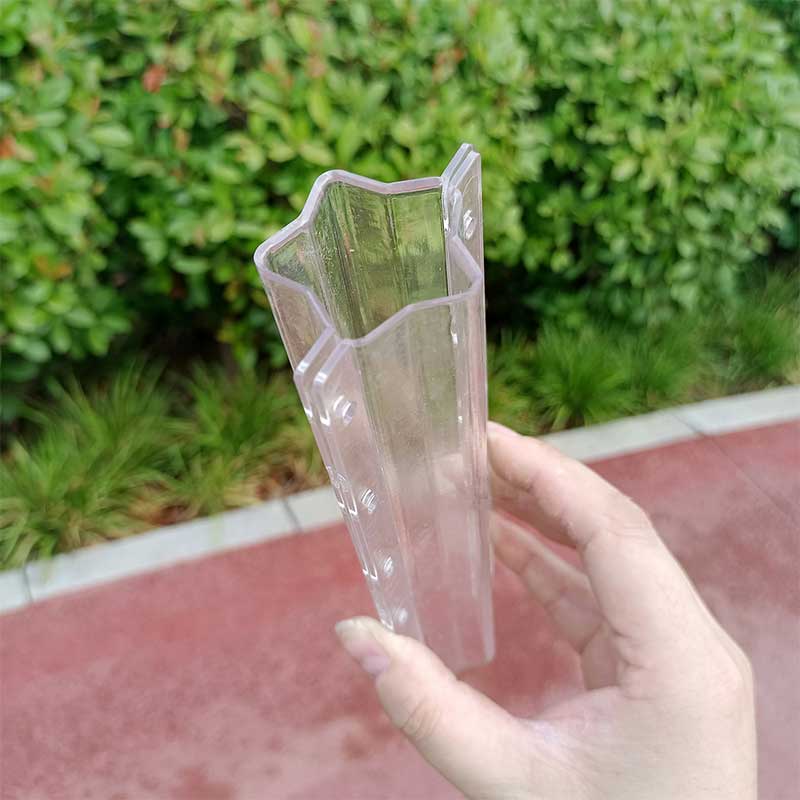 Fruit Growing Mold