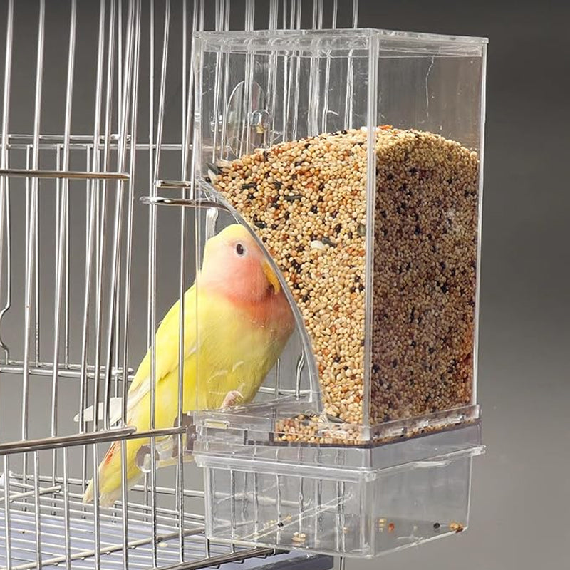 Pet Bird Automatic Feeder