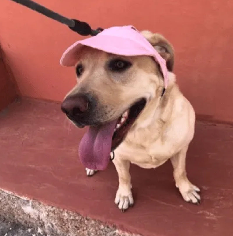 🔥Dog Summer Outdoor Sun Hat