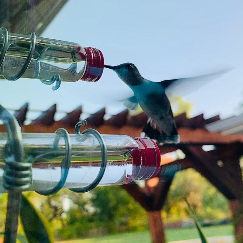Suction Cup Type Window Hummingbird Feeder