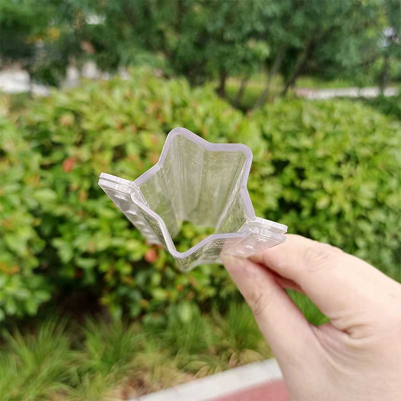 Fruit Growing Mold