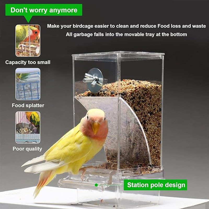Pet Bird Automatic Feeder