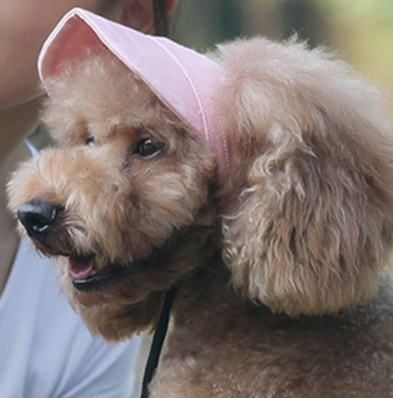 🔥Dog Summer Outdoor Sun Hat