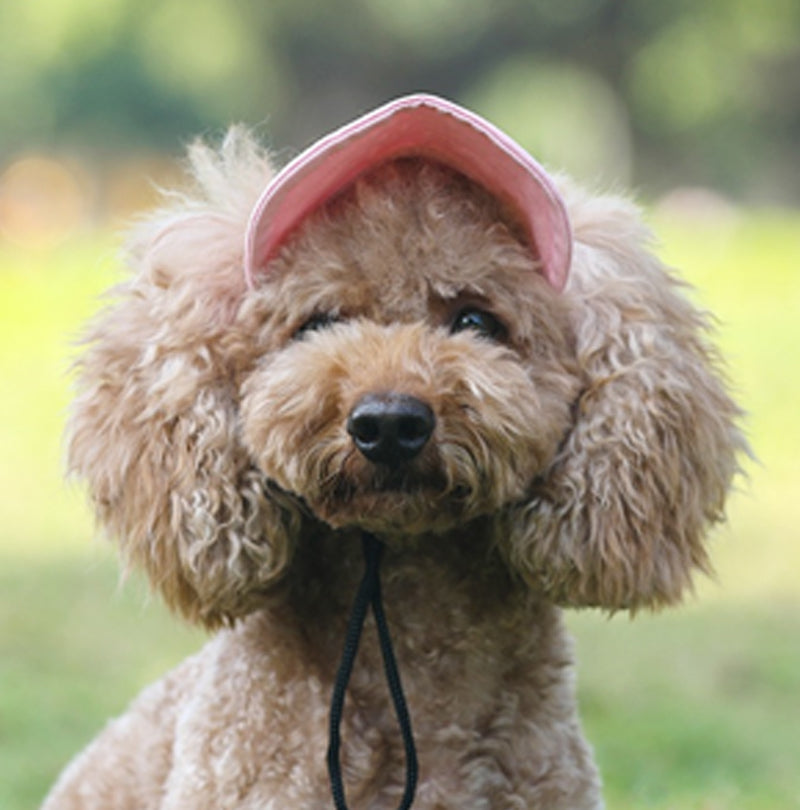🔥Dog Summer Outdoor Sun Hat