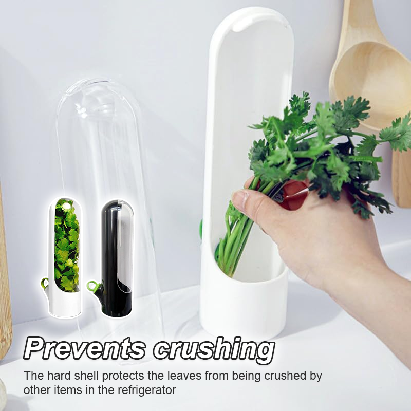 Herb Storage Box, Vegetable Storage, Herb Storage Cup