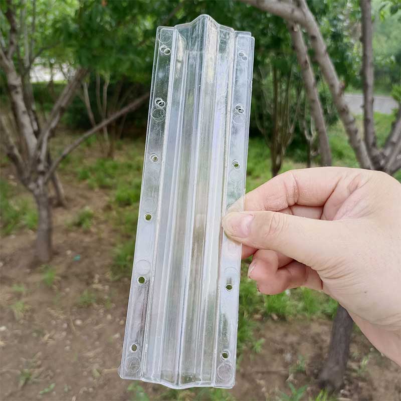 Fruit Growing Mold
