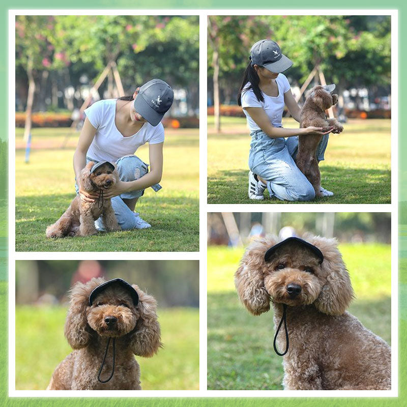 🔥Dog Summer Outdoor Sun Hat
