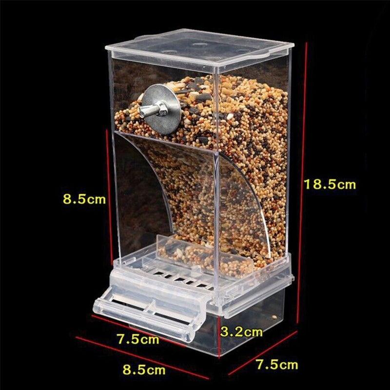 Pet Bird Automatic Feeder