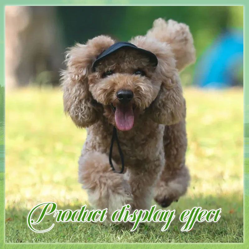 🔥Dog Summer Outdoor Sun Hat