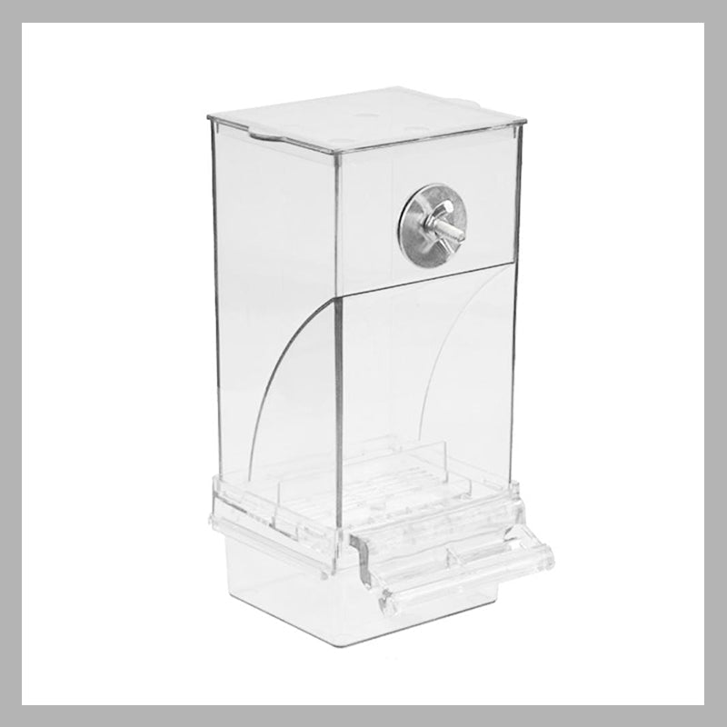 Pet Bird Automatic Feeder