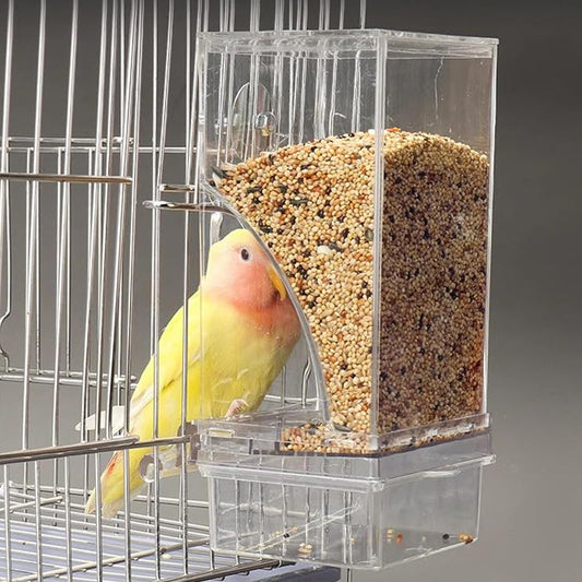 Pet Bird Automatic Feeder