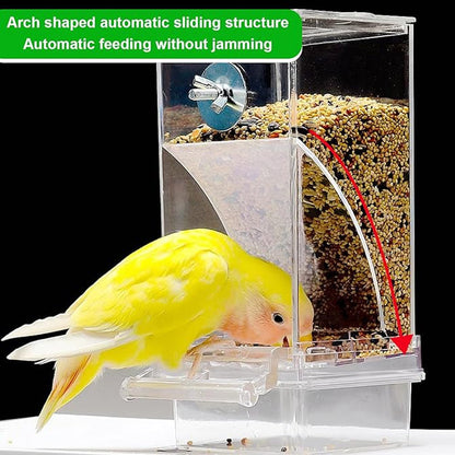 Pet Bird Automatic Feeder