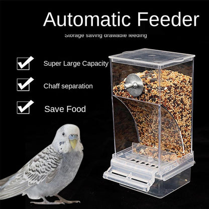 Pet Bird Automatic Feeder