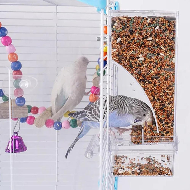 Pet Bird Automatic Feeder